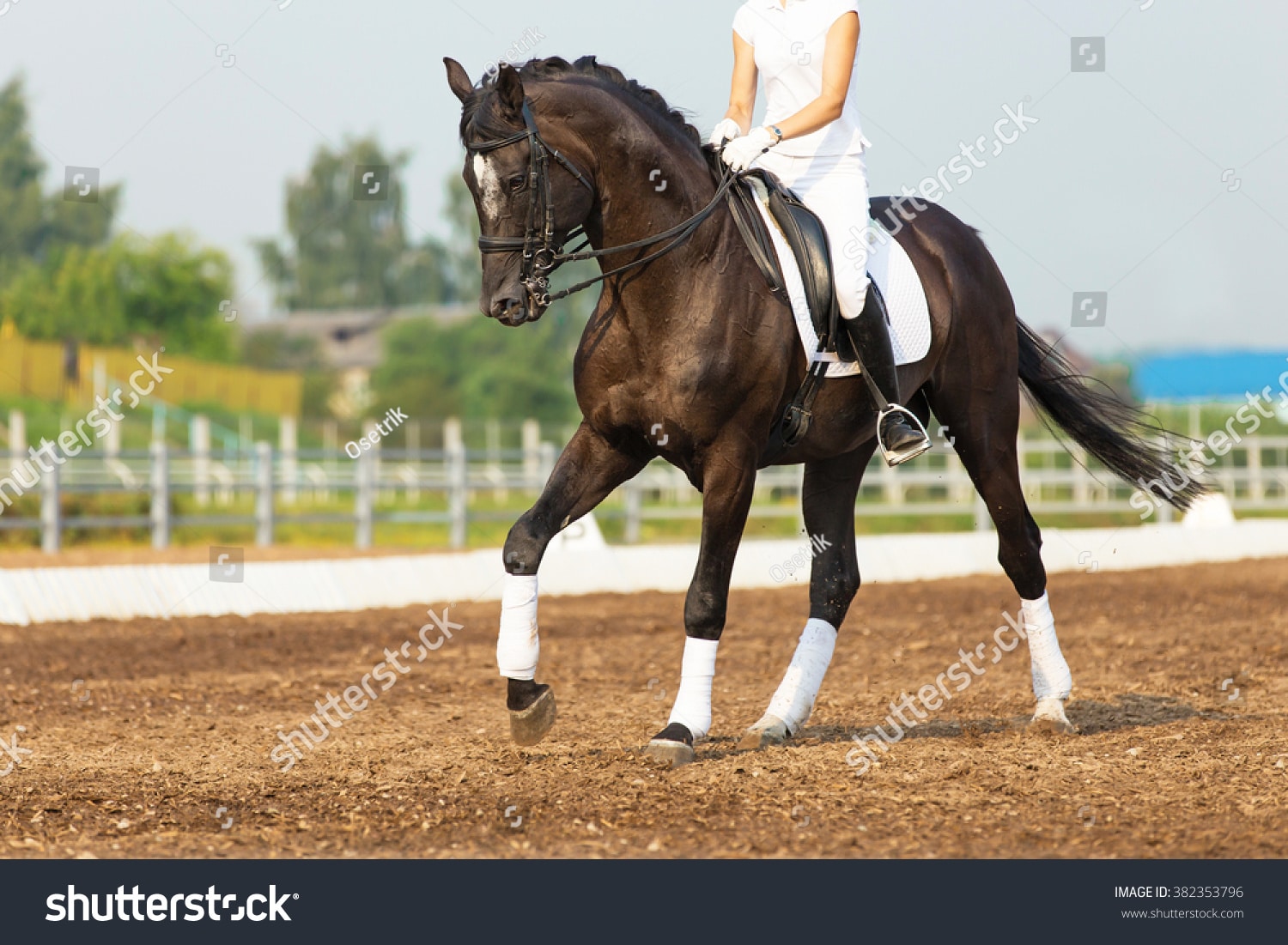 stock-photo-dressage-rider-at-competition-test-382353796